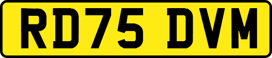 RD75DVM