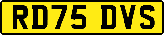 RD75DVS