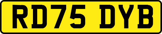 RD75DYB