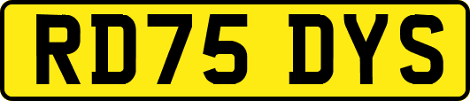 RD75DYS