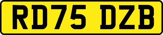 RD75DZB