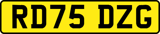RD75DZG