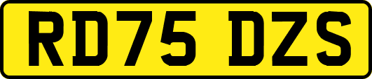 RD75DZS