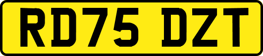 RD75DZT