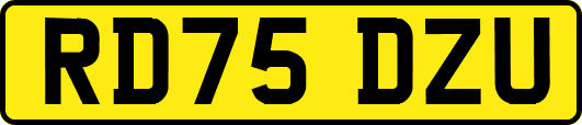 RD75DZU