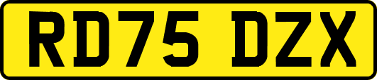 RD75DZX