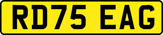 RD75EAG