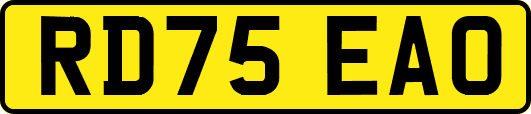 RD75EAO