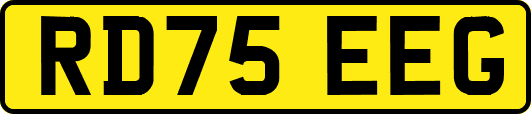 RD75EEG