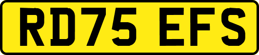 RD75EFS