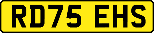 RD75EHS