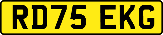 RD75EKG