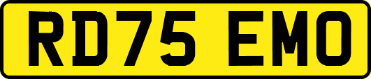 RD75EMO