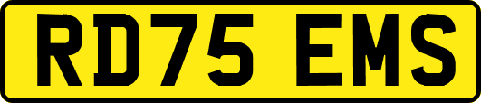RD75EMS