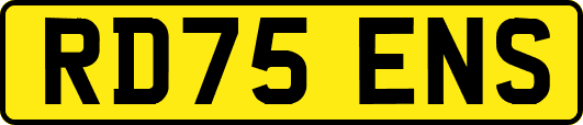 RD75ENS