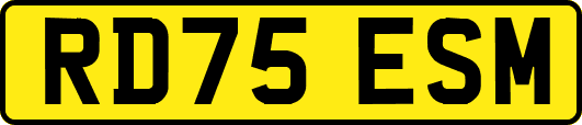 RD75ESM