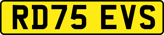 RD75EVS