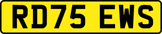RD75EWS