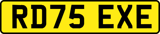 RD75EXE