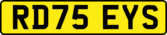RD75EYS