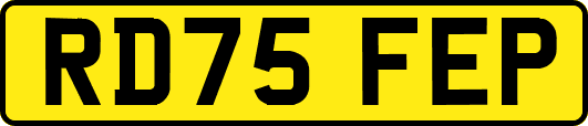 RD75FEP