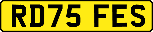 RD75FES
