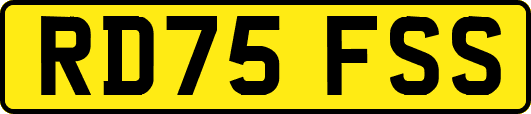 RD75FSS
