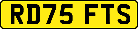 RD75FTS