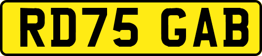 RD75GAB