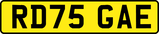 RD75GAE