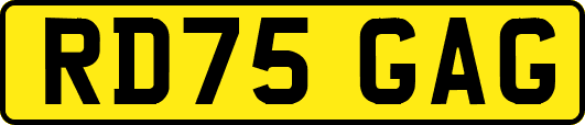 RD75GAG