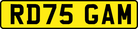 RD75GAM