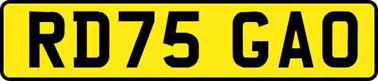 RD75GAO