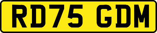 RD75GDM