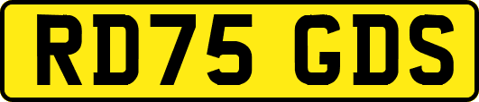 RD75GDS