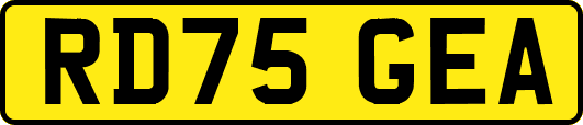 RD75GEA