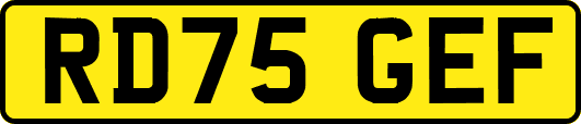 RD75GEF