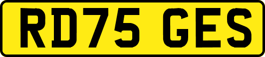 RD75GES