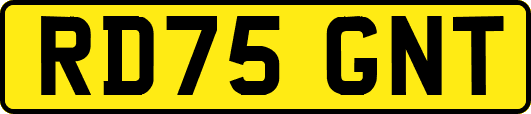 RD75GNT