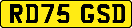 RD75GSD