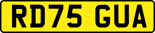 RD75GUA