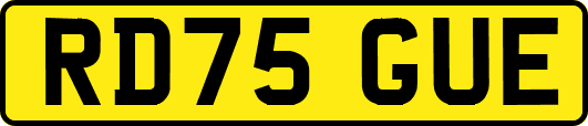 RD75GUE