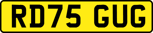 RD75GUG