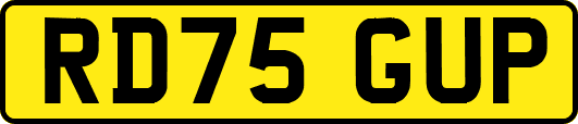 RD75GUP