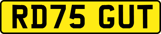 RD75GUT