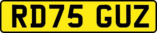 RD75GUZ