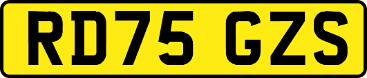 RD75GZS