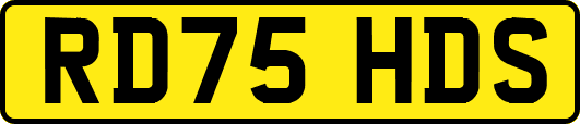 RD75HDS