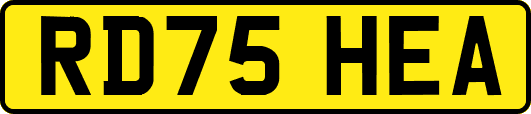 RD75HEA