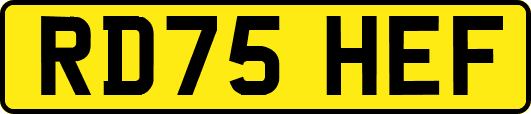 RD75HEF